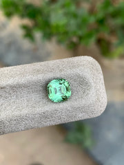 Seafoam green Cushion cut Tourmaline gemstone