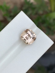 Light brown Cushion and Mixed cut Topaz