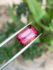 Untreated natural African Pink Tourmaline