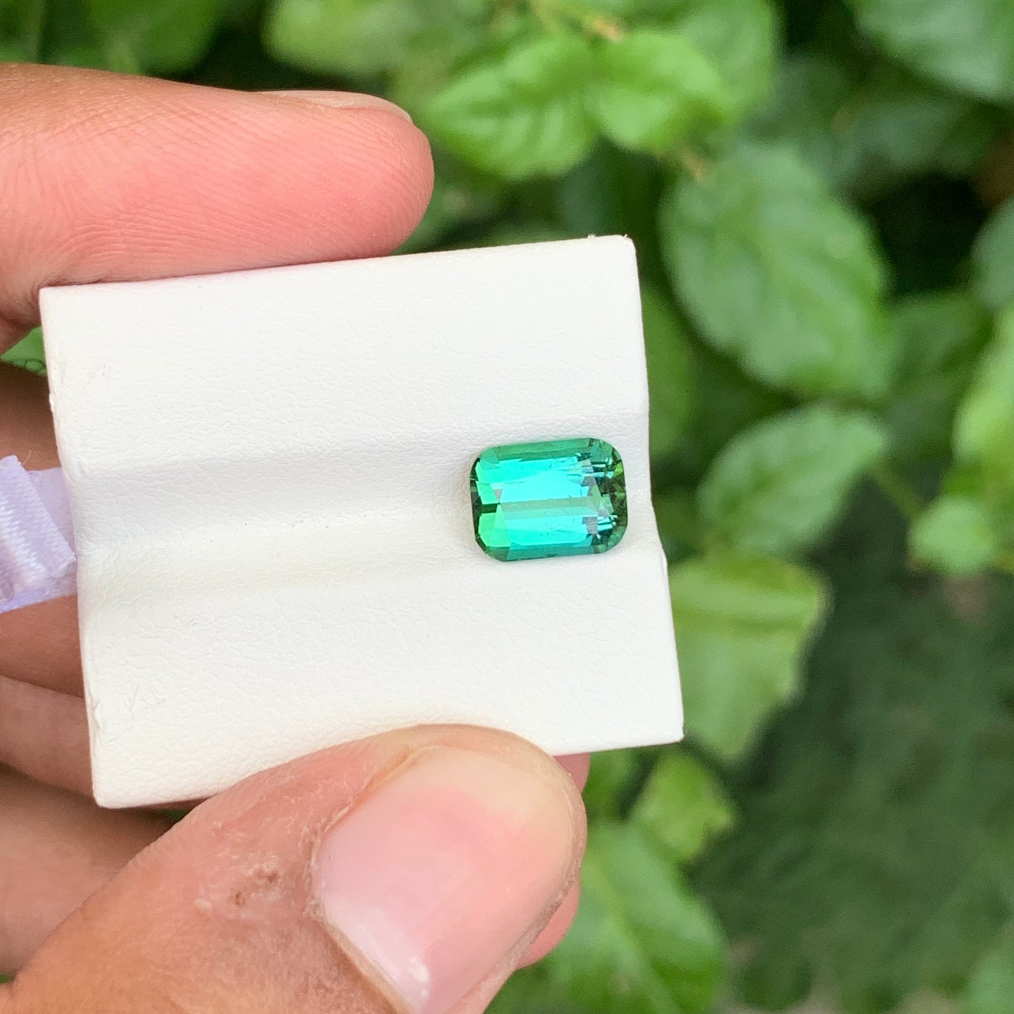Bluish Green Tourmaline
