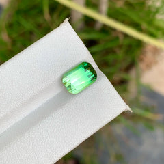 3.65 Carats Natural Green Bicolor Tourmaline Stone Cushion Shape Loose Afghan Gemstone