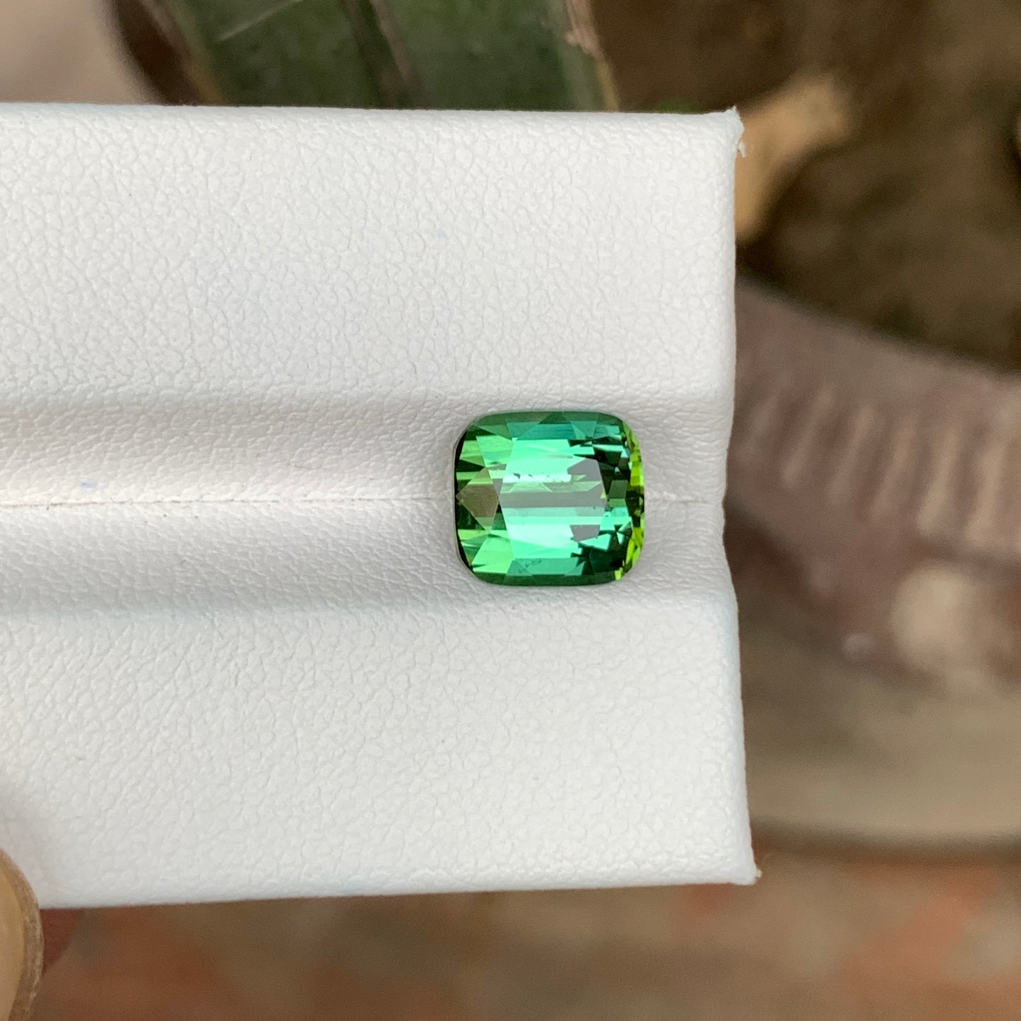 3.10 Carats Green Tourmaline Stone