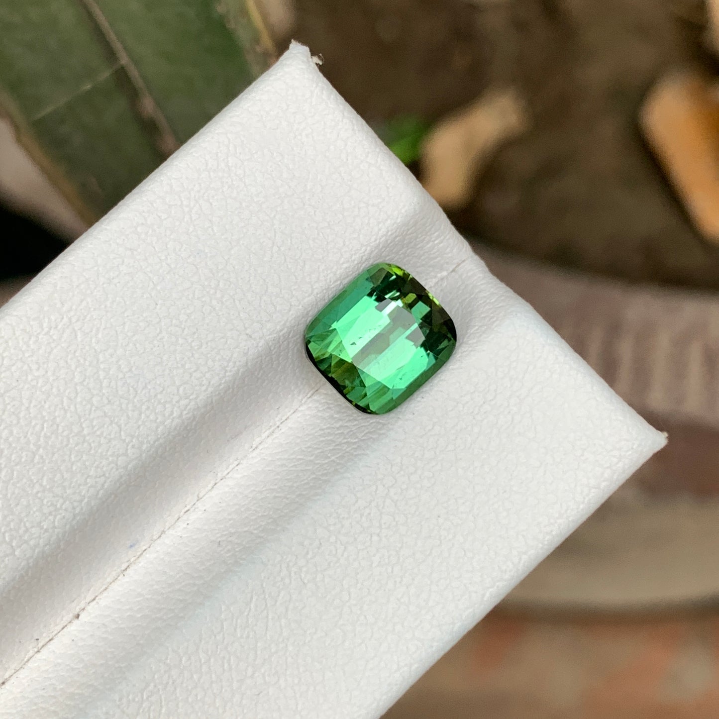 3.10 Carats Green Tourmaline Stone