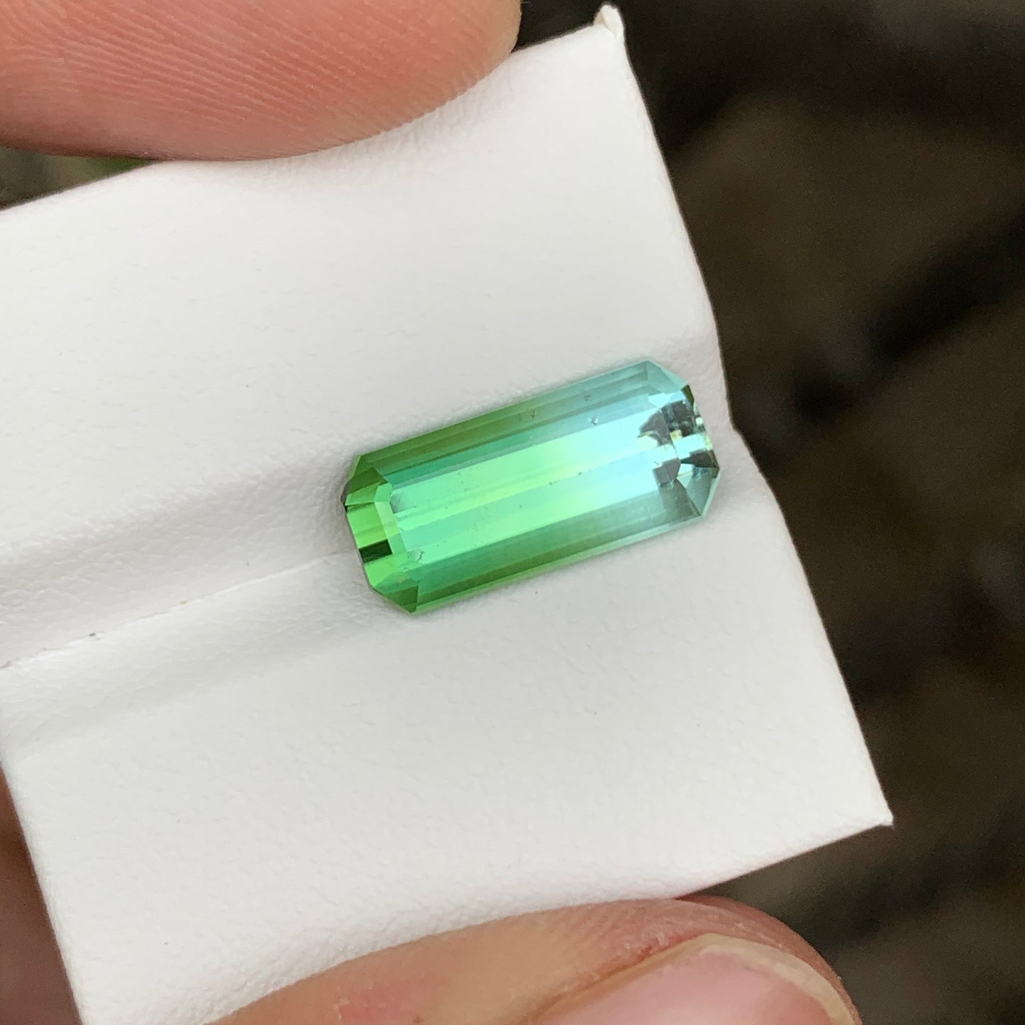 Bicolor Seafoam Green Tourmaline