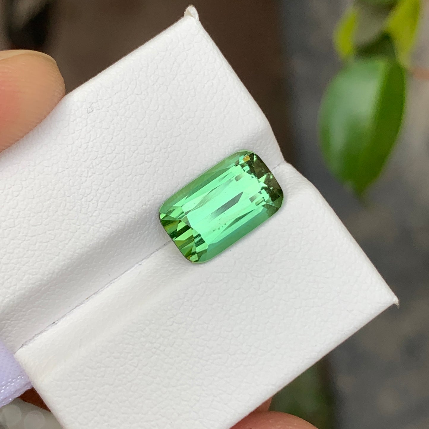 4.30 Carats Green Tourmaline Long Cushion