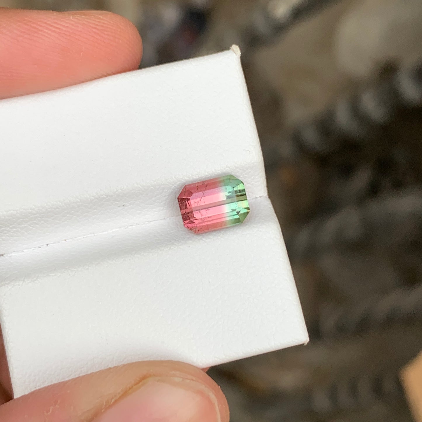 Watermelon Bicolor Tourmaline