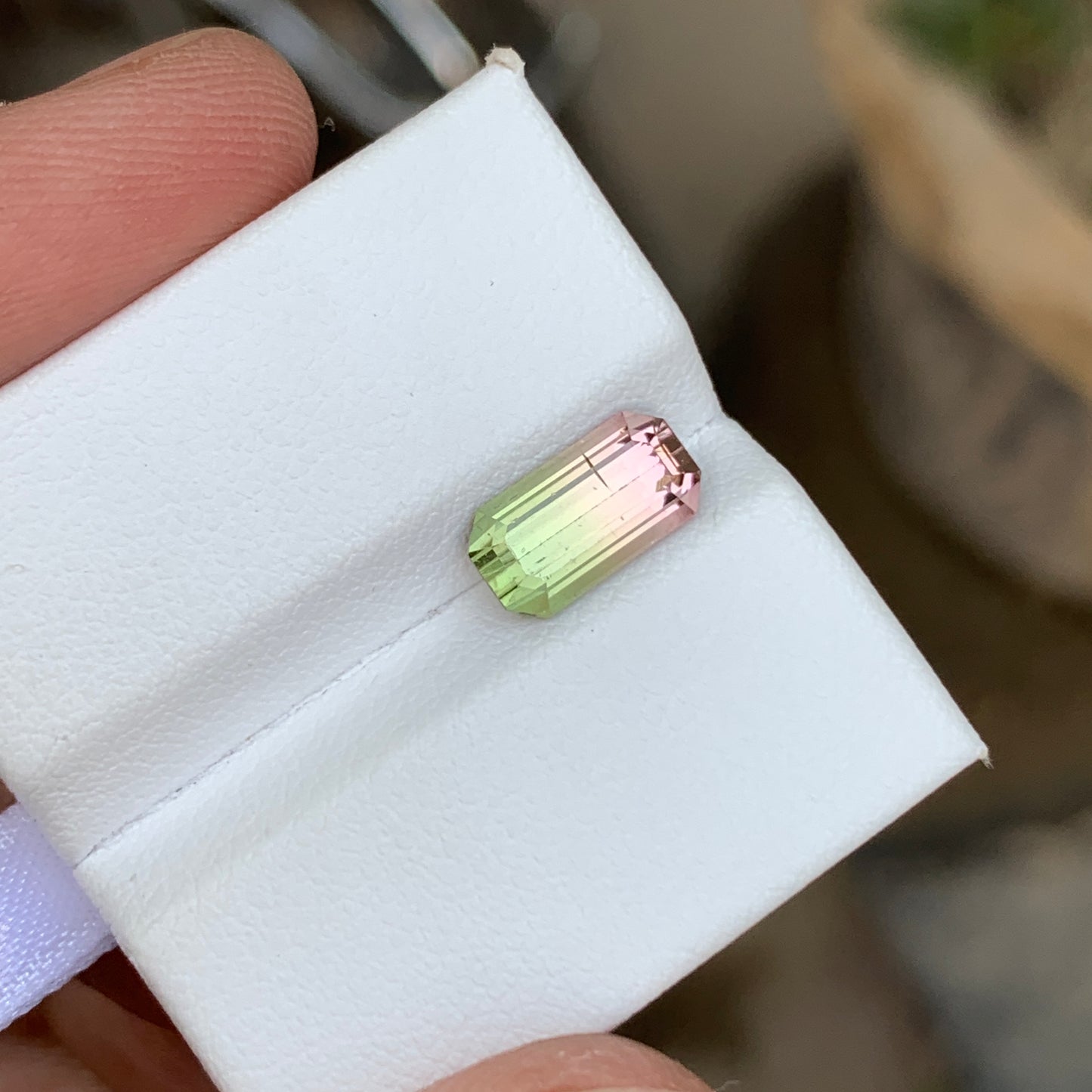 2.25 Ct Watermelon Bicolor Tourmaline | Natural Loose Tourmaline Gemstone