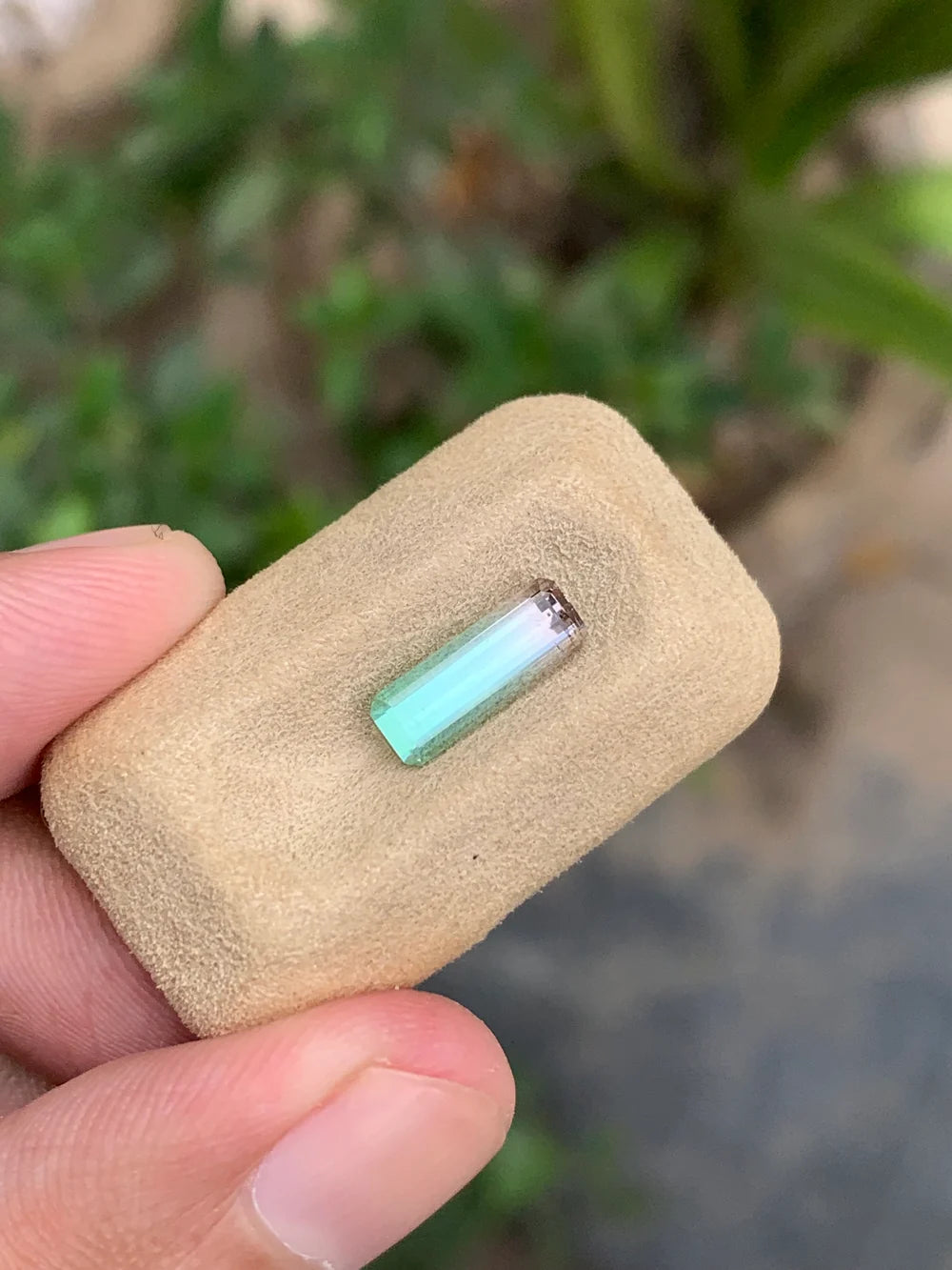 Natural Green and Pink Watermelon Tourmaline