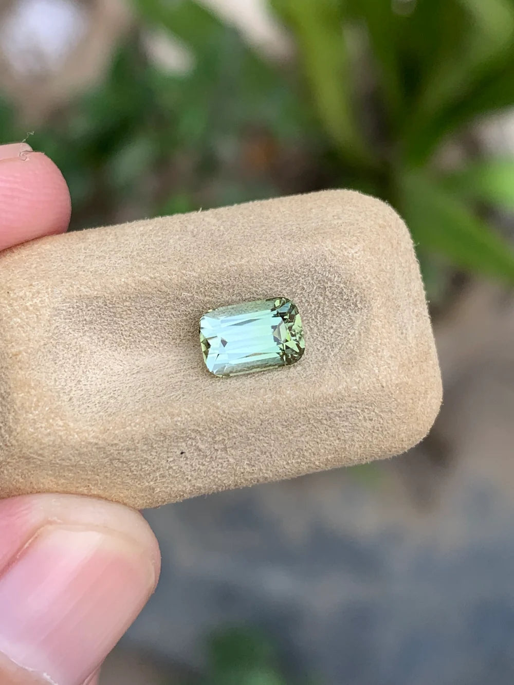 Natural Bicolor Tourmaline loose gemstone from Afghanistan