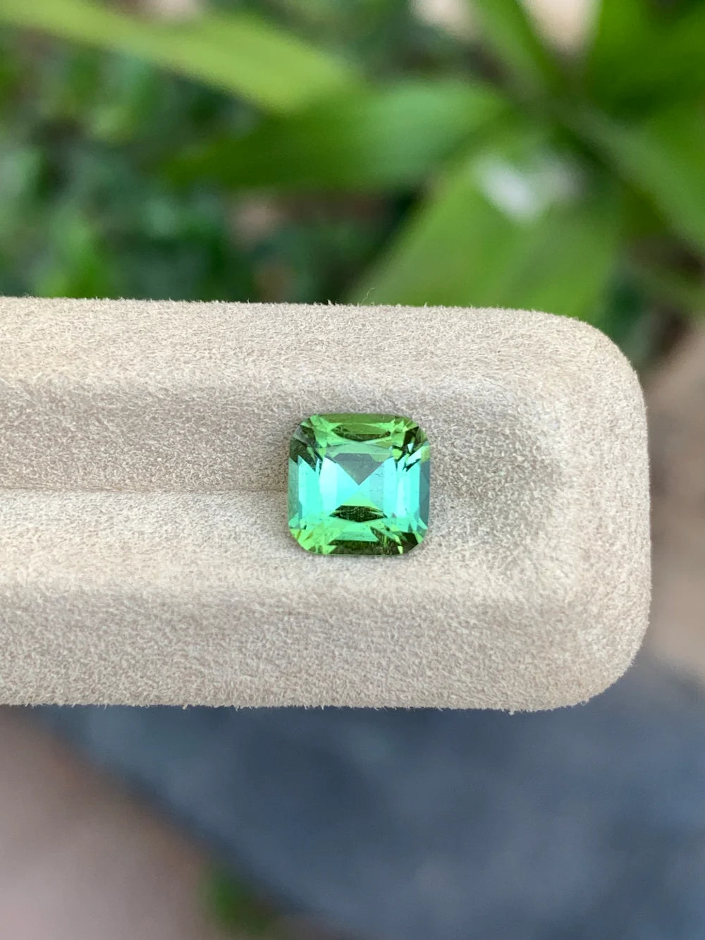 1.70 carat natural green Tourmaline cushion cut gemstone from Afghanistan