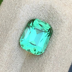 Shop 1.90 ct natural mint green Tourmaline from Afghanistan. This untreated cushion-cut loose gemstone is ideal for custom jewelry designs.