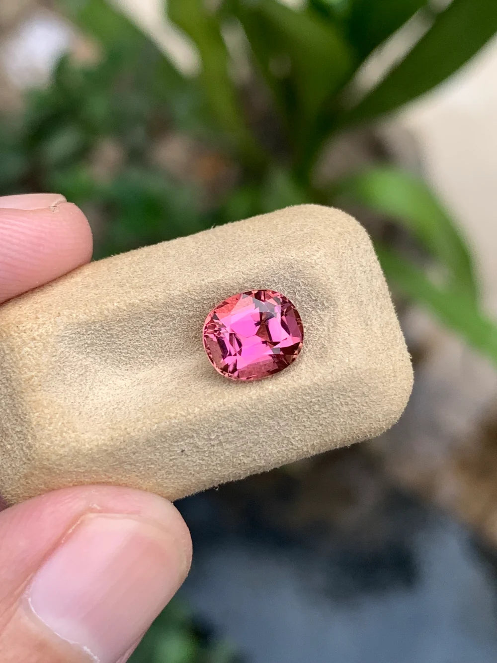 Natural pink tourmaline from Afghanistan