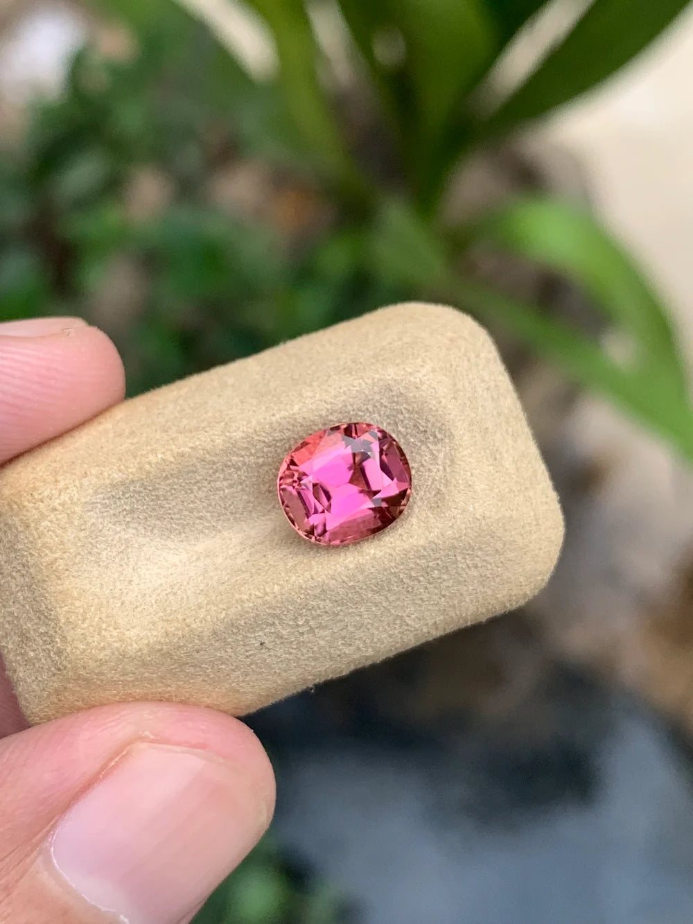 Oval cut pink Afghan tourmaline gemstone