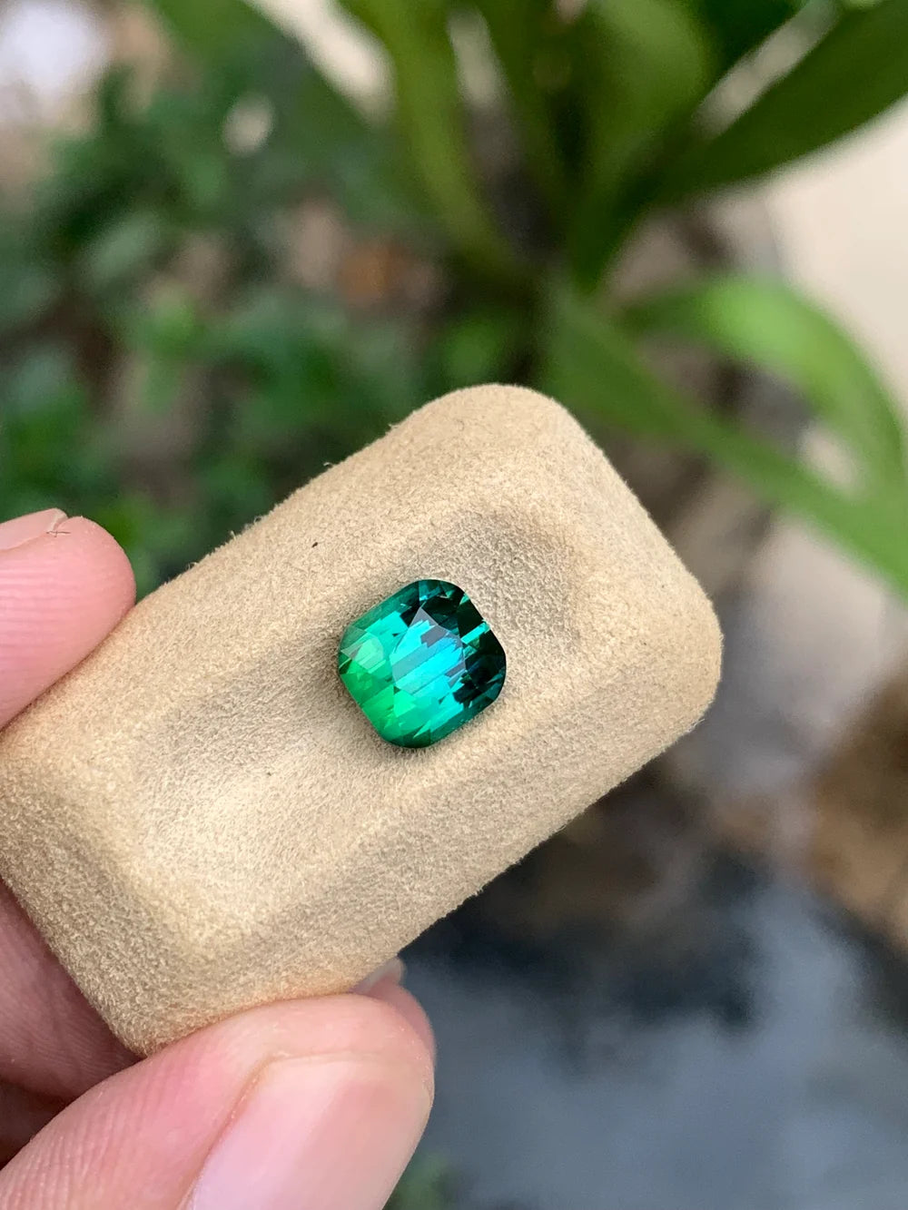 Cushion cut blue green Afghan tourmaline