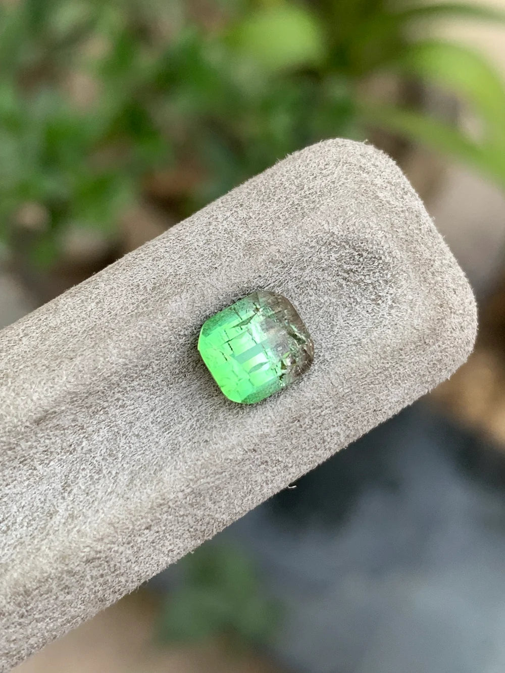 Untreated natural Afghan Bicolor Tourmaline gemstone