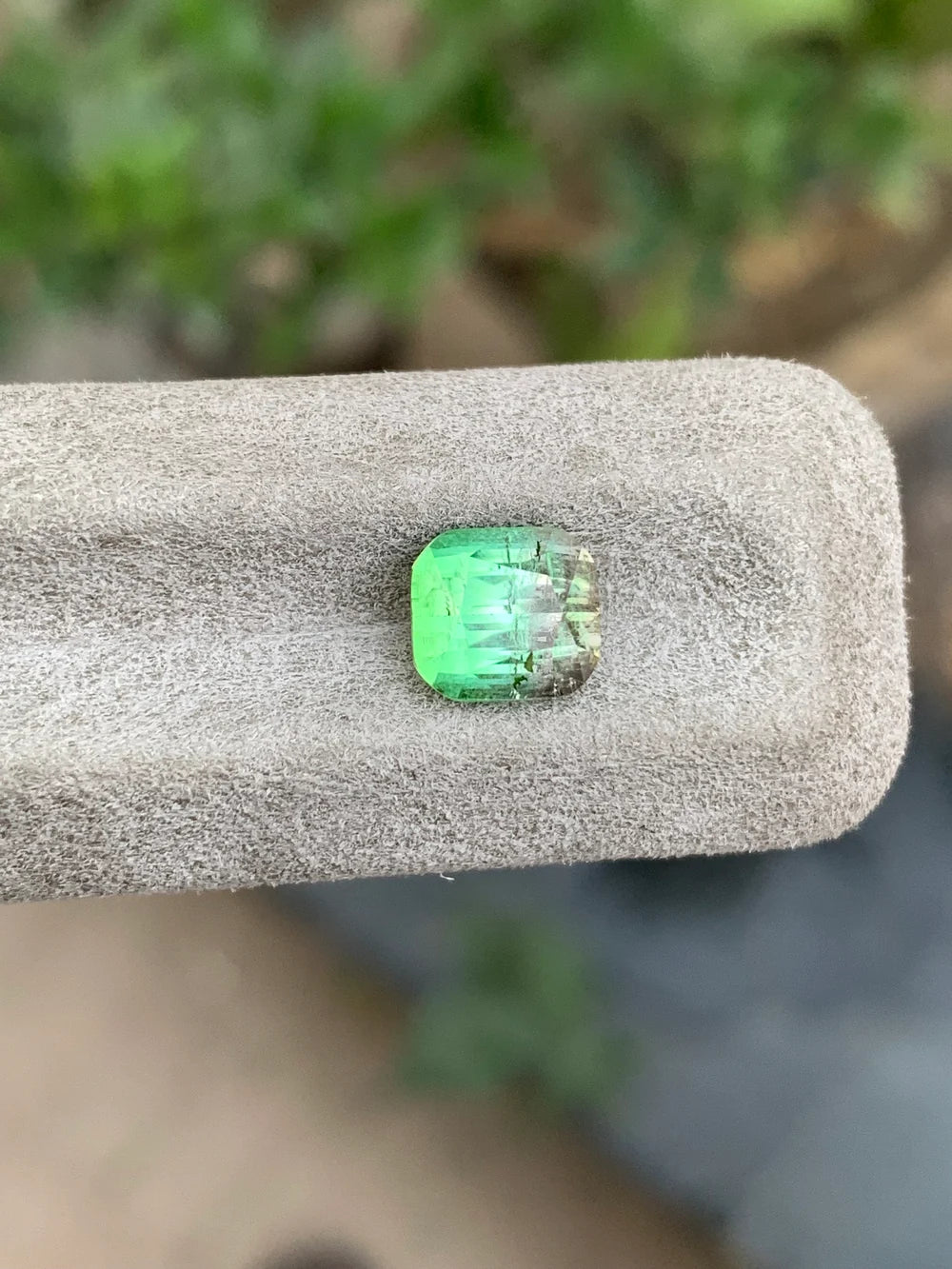 Untreated natural Afghan Bicolor Tourmaline