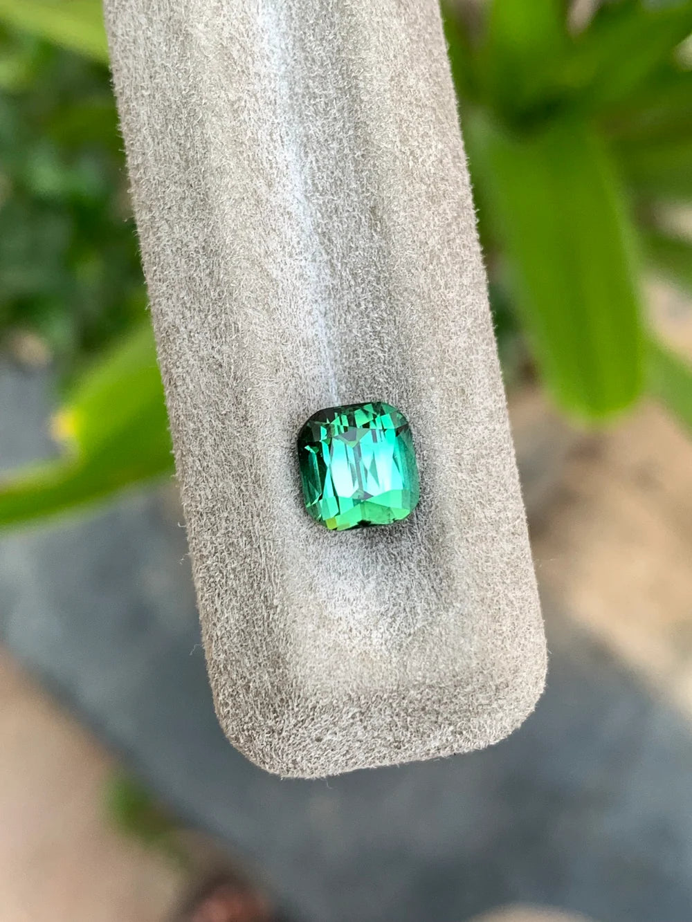 2.70 carat natural bicolor bluish green tourmaline from Afghanistan