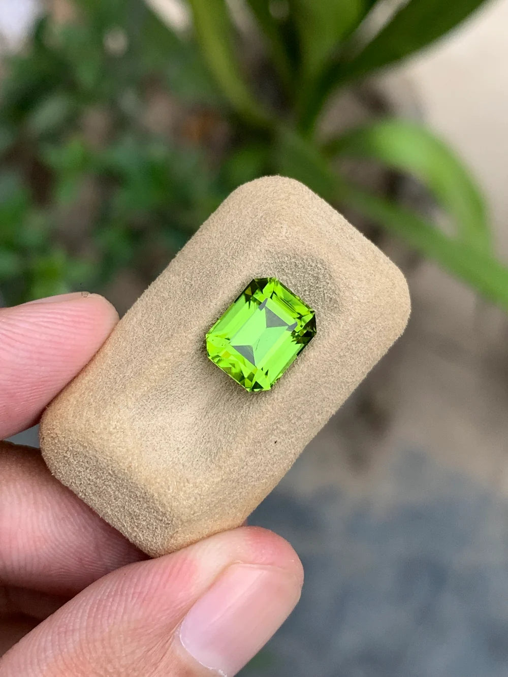 3.80 Ct Apple Green Peridot | Natural Pakistani Gemstone