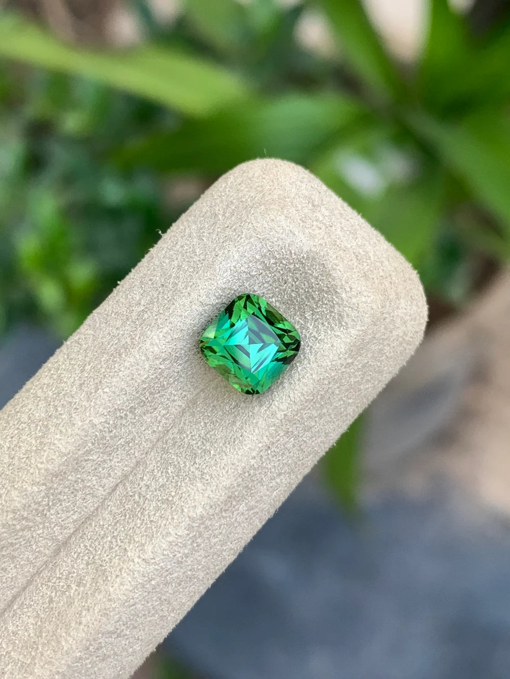 1.95 carat natural green tourmaline cushion cut from Afghanistan