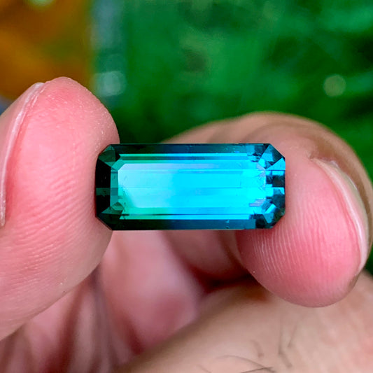 Blue Green Bicolor Tourmaline