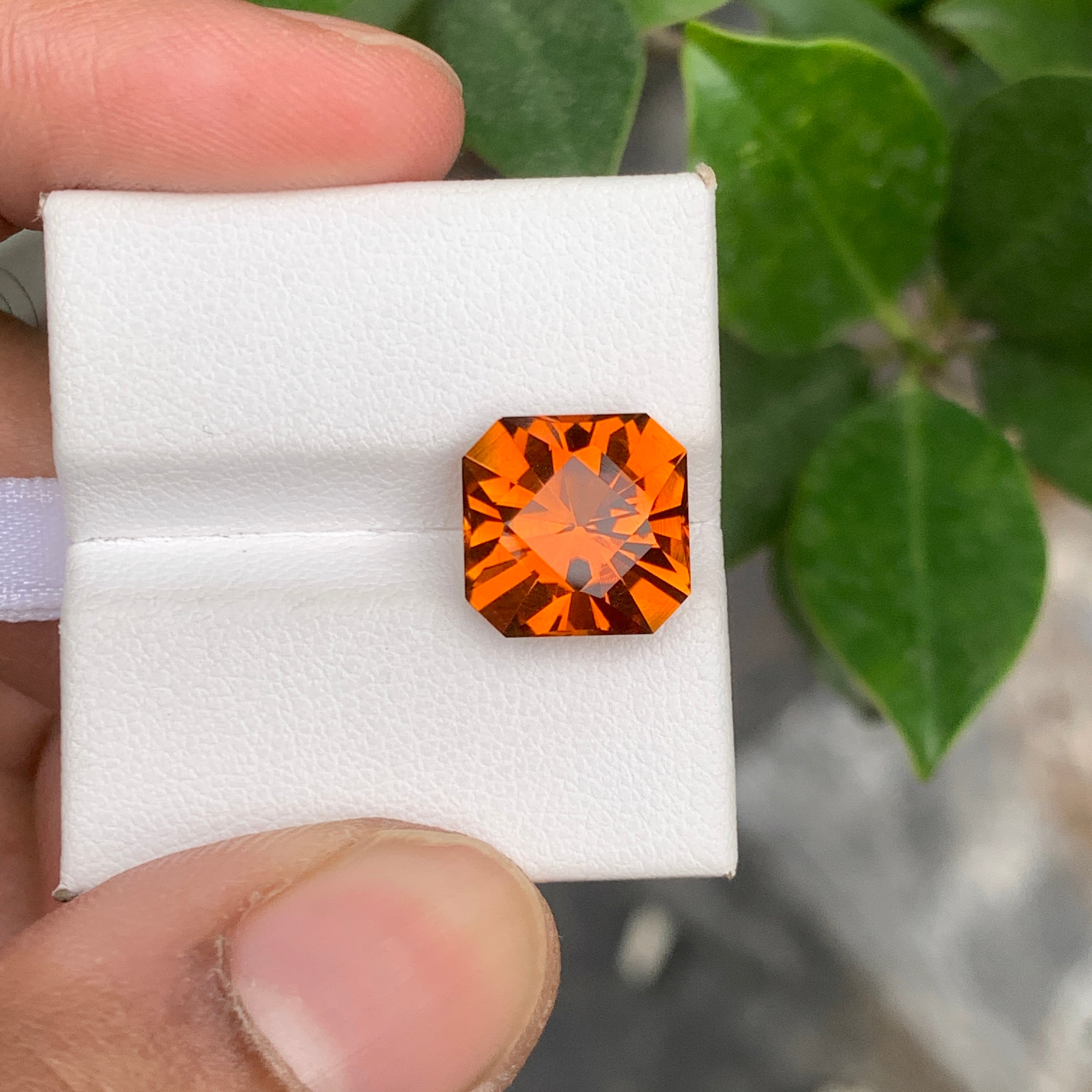 Faceted Mandarin Citrine