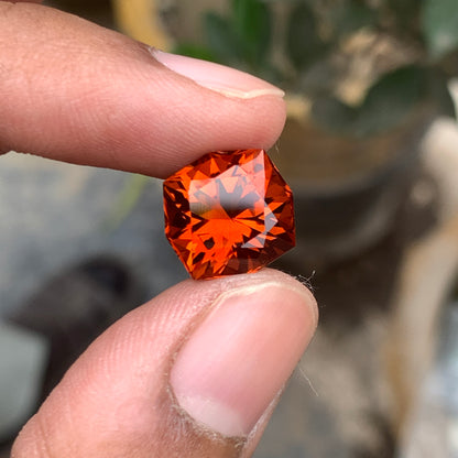 Fancy Octagonal Citrine