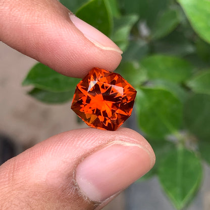 Fancy Octagonal Citrine
