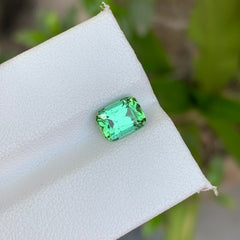 1.45 Carats Tourmaline Mint Green Cushion Cut Gemstone