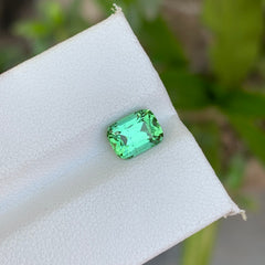 1.45 Carats Tourmaline Mint Green Cushion Cut Gemstone