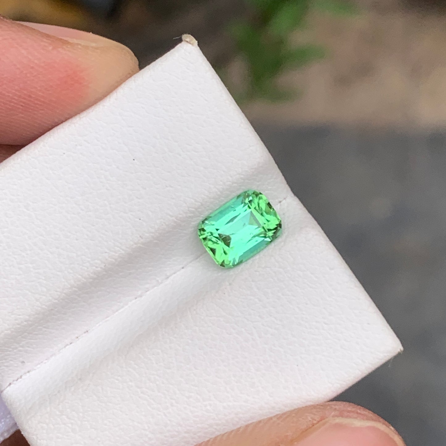 Mint Green Tourmaline