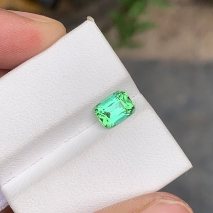 Mint Green Tourmaline