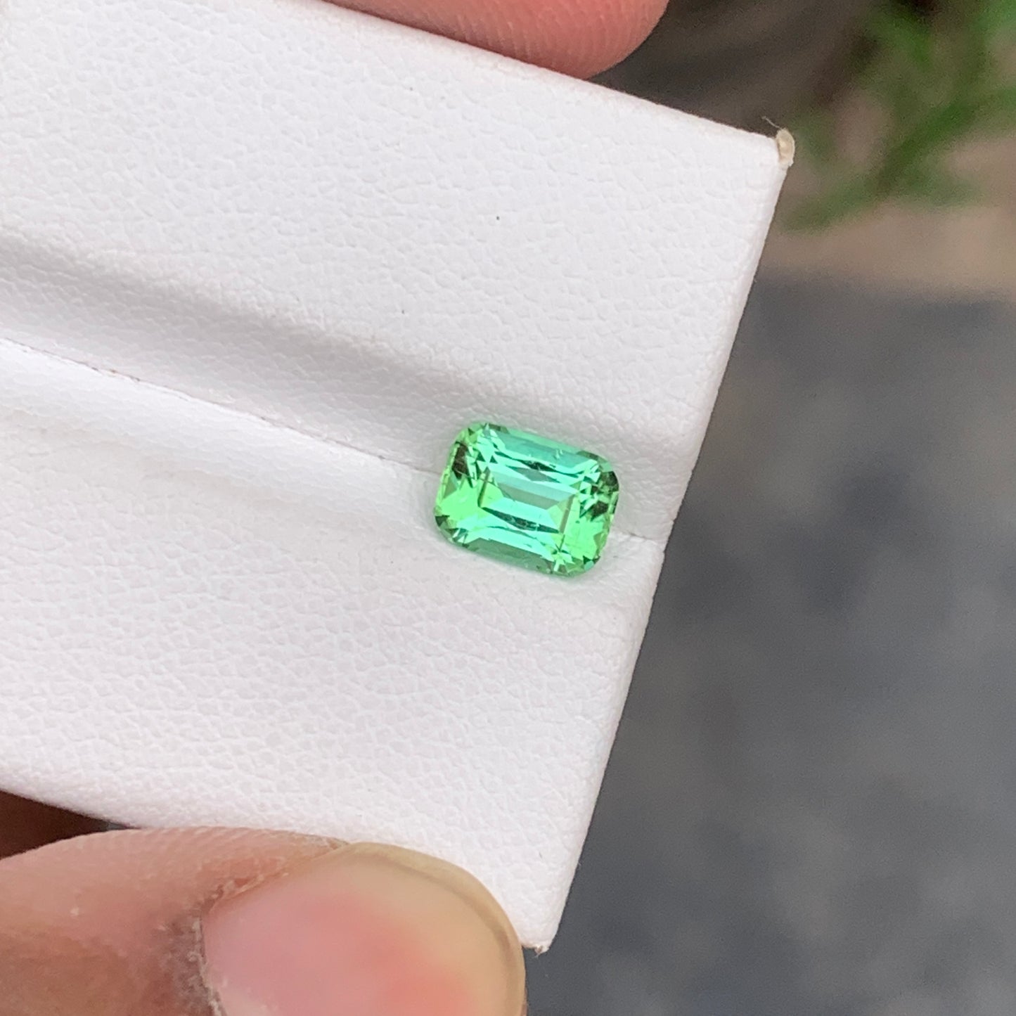 Mint Green Tourmaline