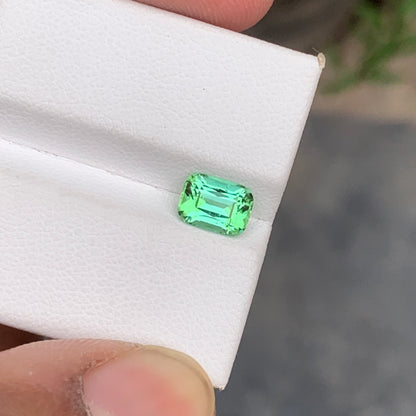 Mint Green Tourmaline
