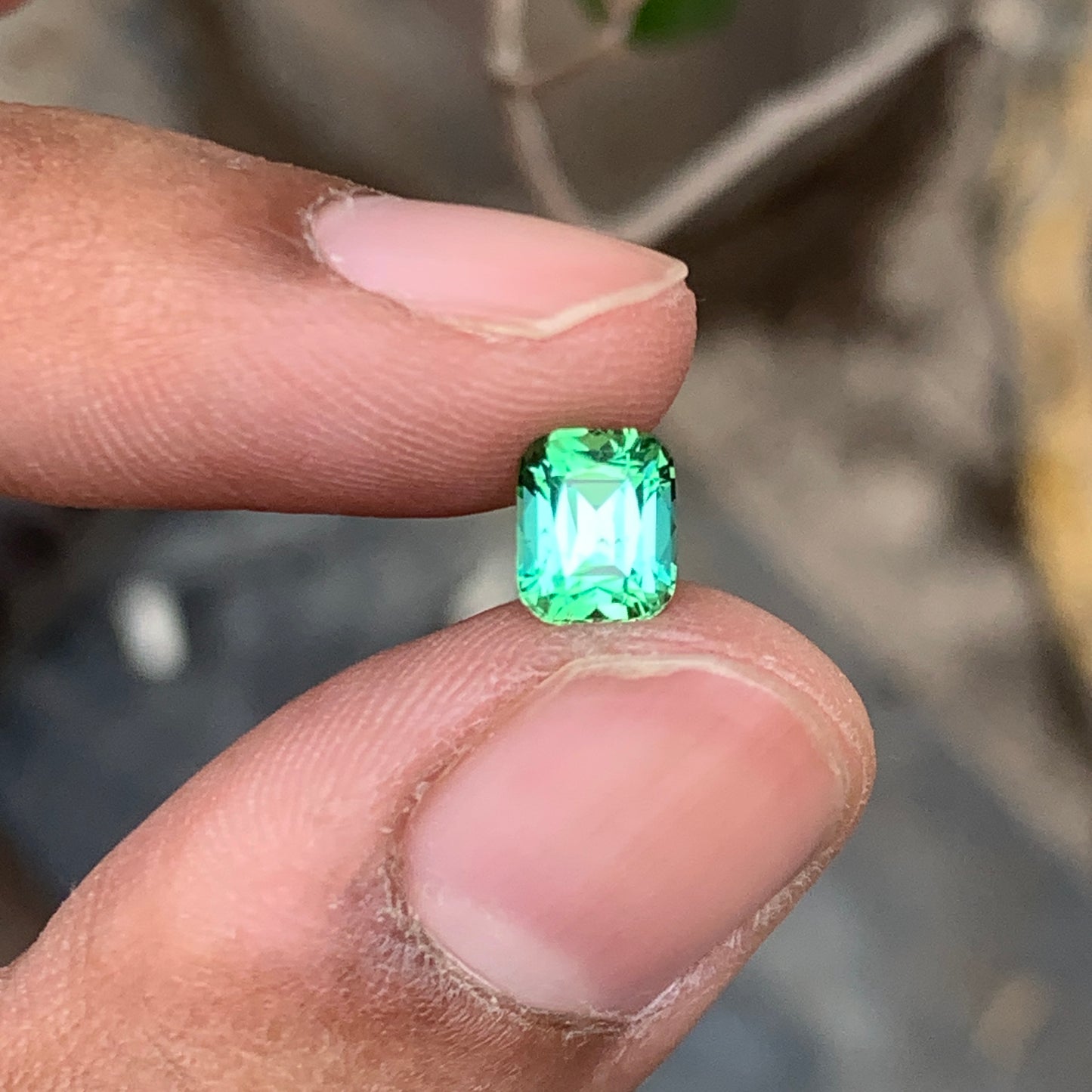 Lustrous Mint Green Tourmaline