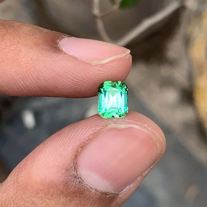Lustrous Mint Green Tourmaline