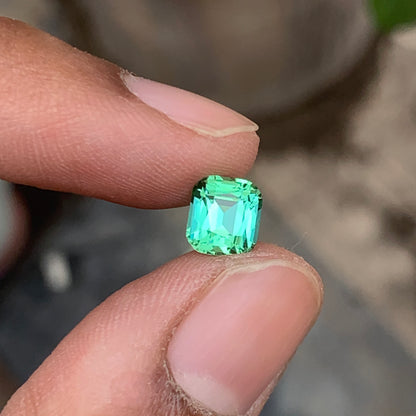 Lustrous Cushion Cut Lagoon Green Tourmaline