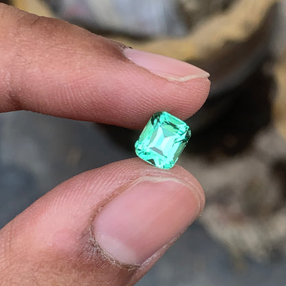 Lustrous Mint Green Tourmaline