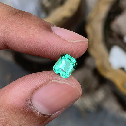 Lustrous Mint Green Tourmaline