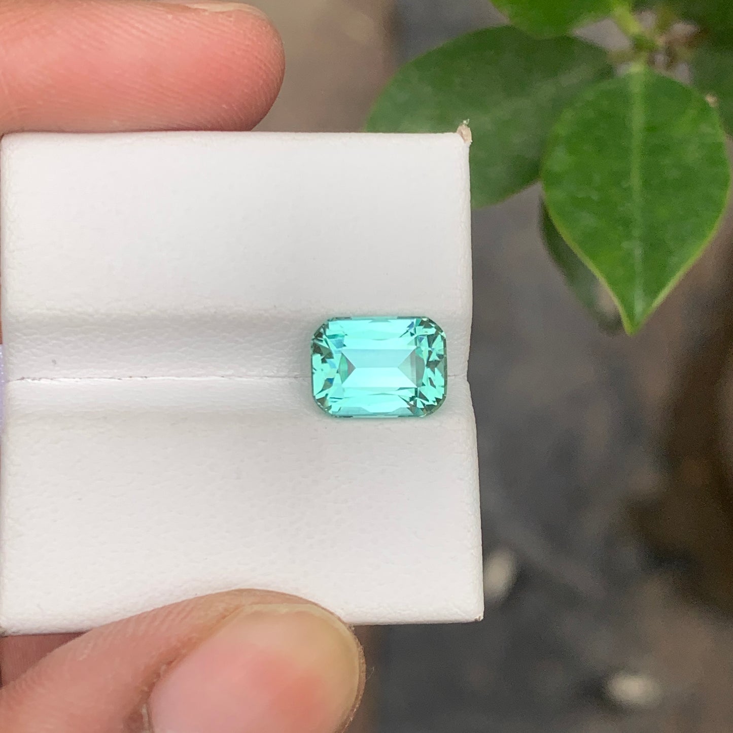 Icy Blue Seafoam Tourmaline