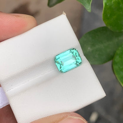 Icy Blue Seafoam Tourmaline