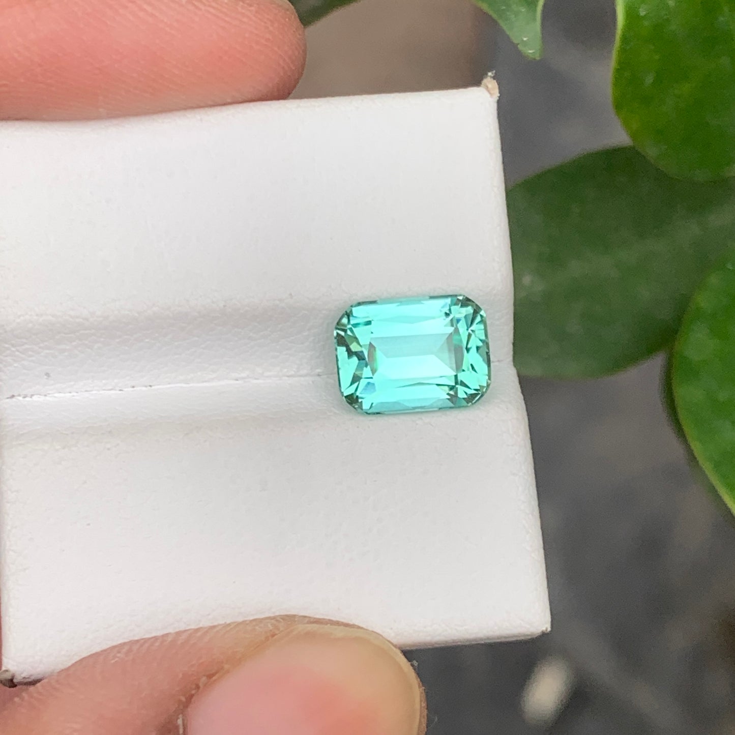 Icy Blue Seafoam Tourmaline