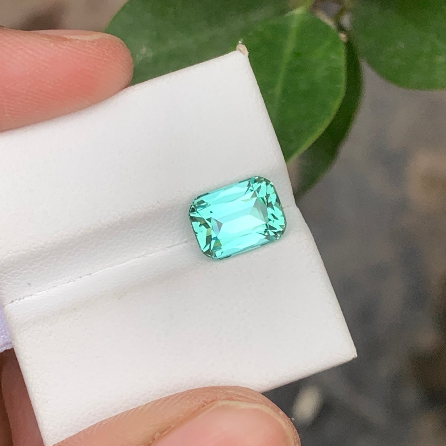Icy Blue Seafoam Tourmaline