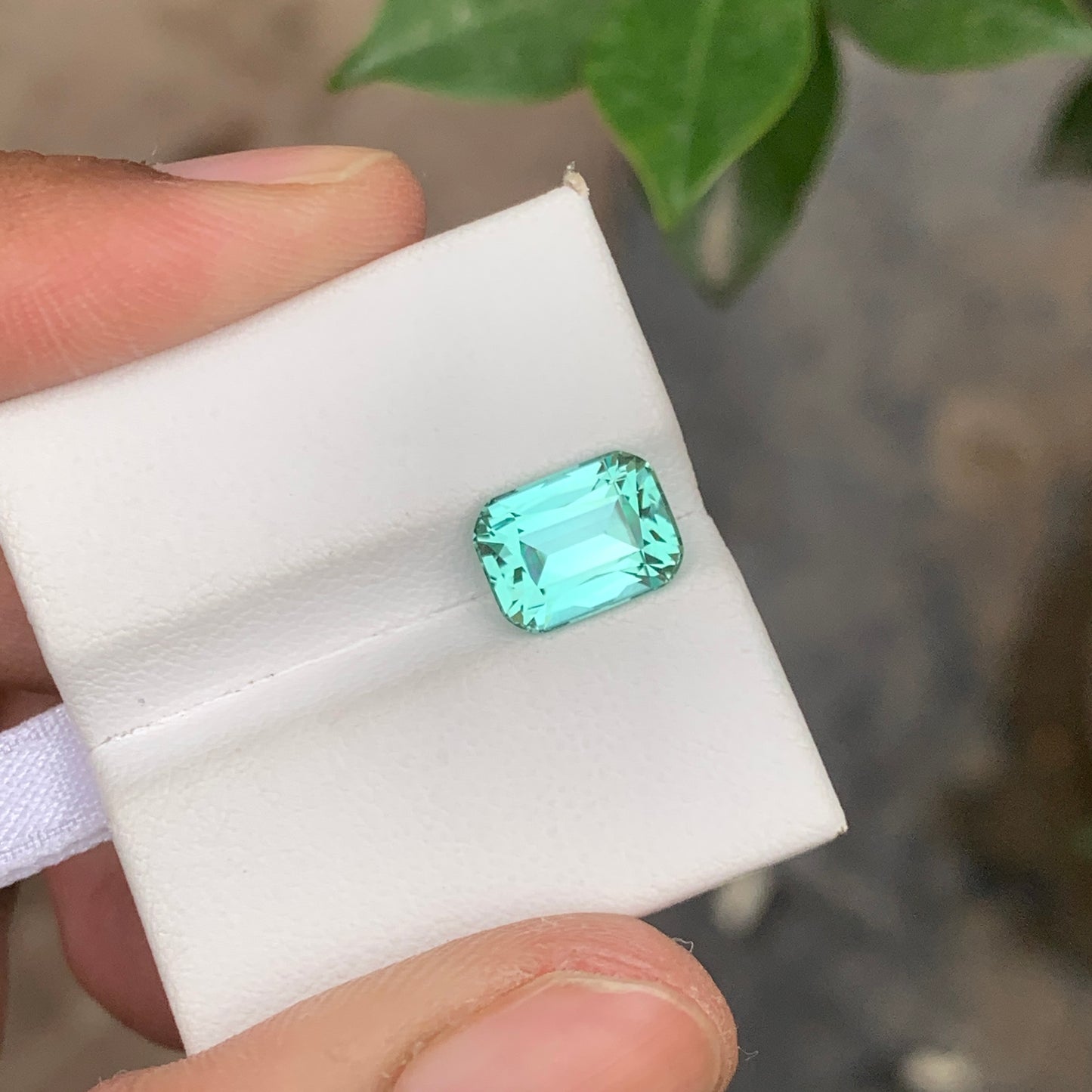 Icy Blue Seafoam Tourmaline