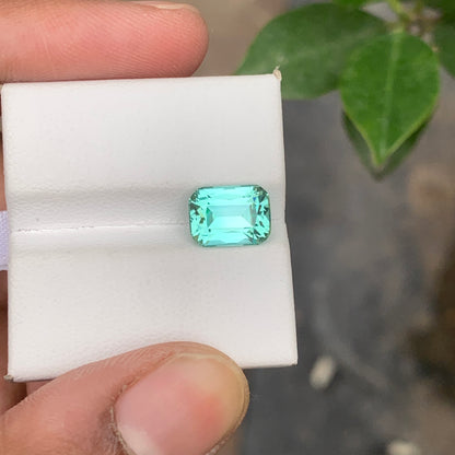 Icy Blue Seafoam Tourmaline