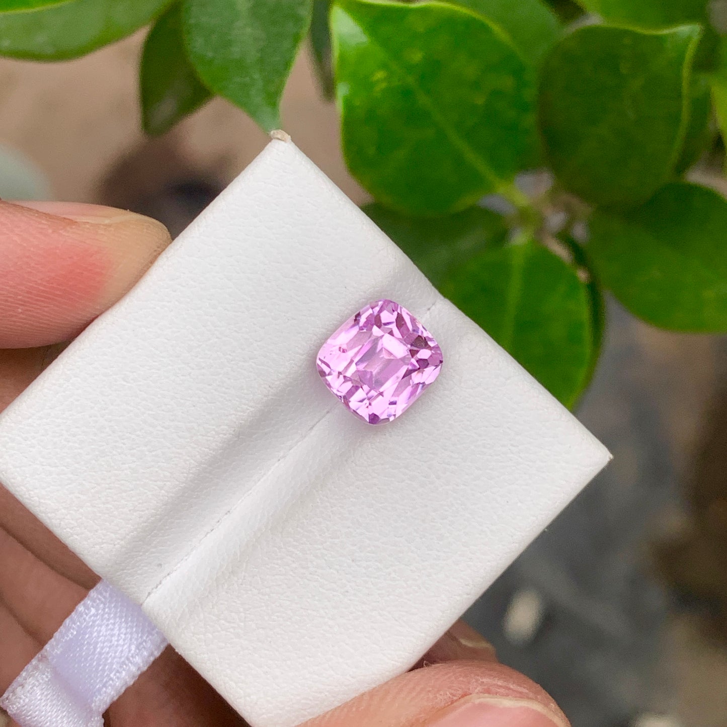 Cushion Cut Kunzite Stone