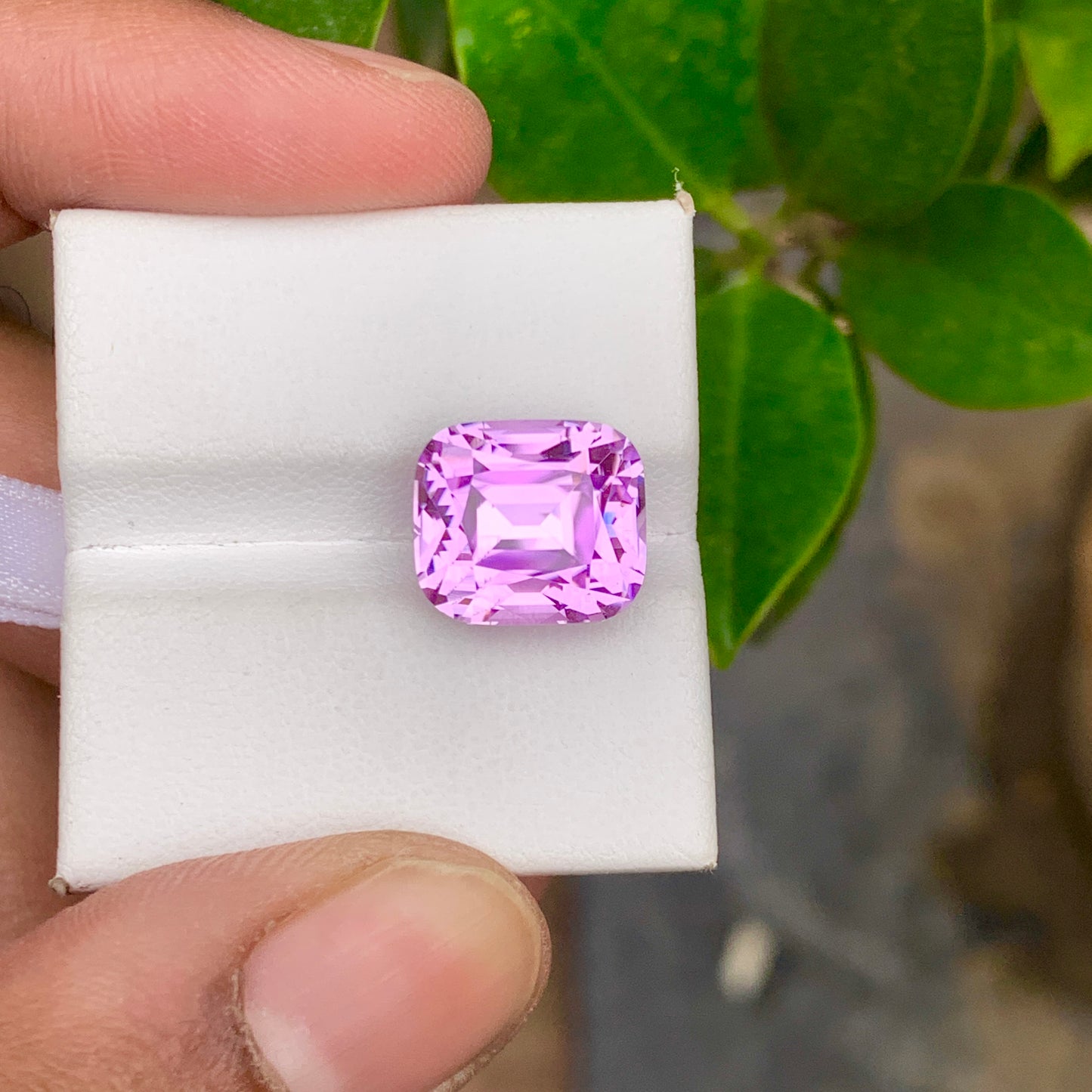Natural Kunzite Cushion Cut
