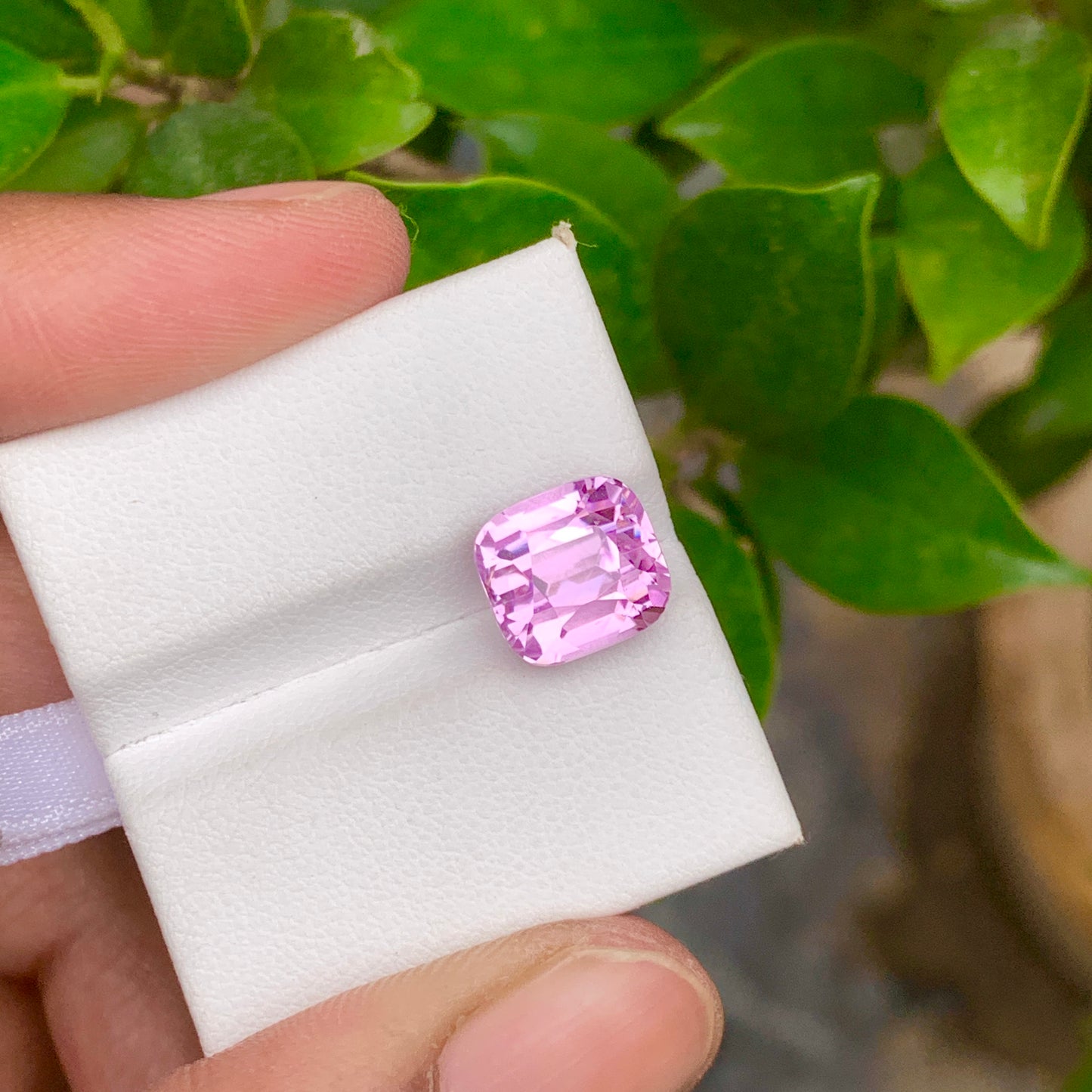 Cushion Cut Kunzite Stone