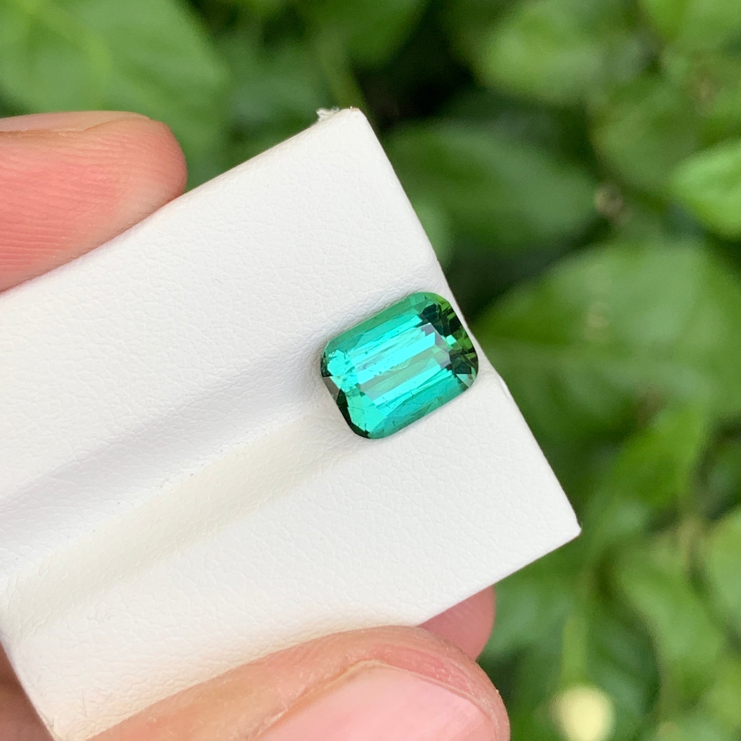 Bluish Green Tourmaline