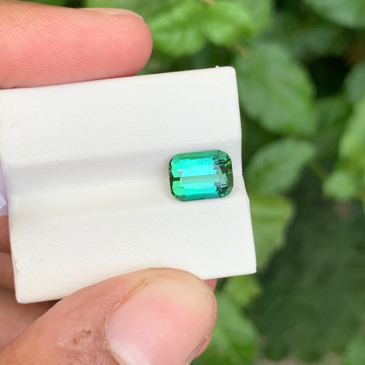 Bluish Green Tourmaline