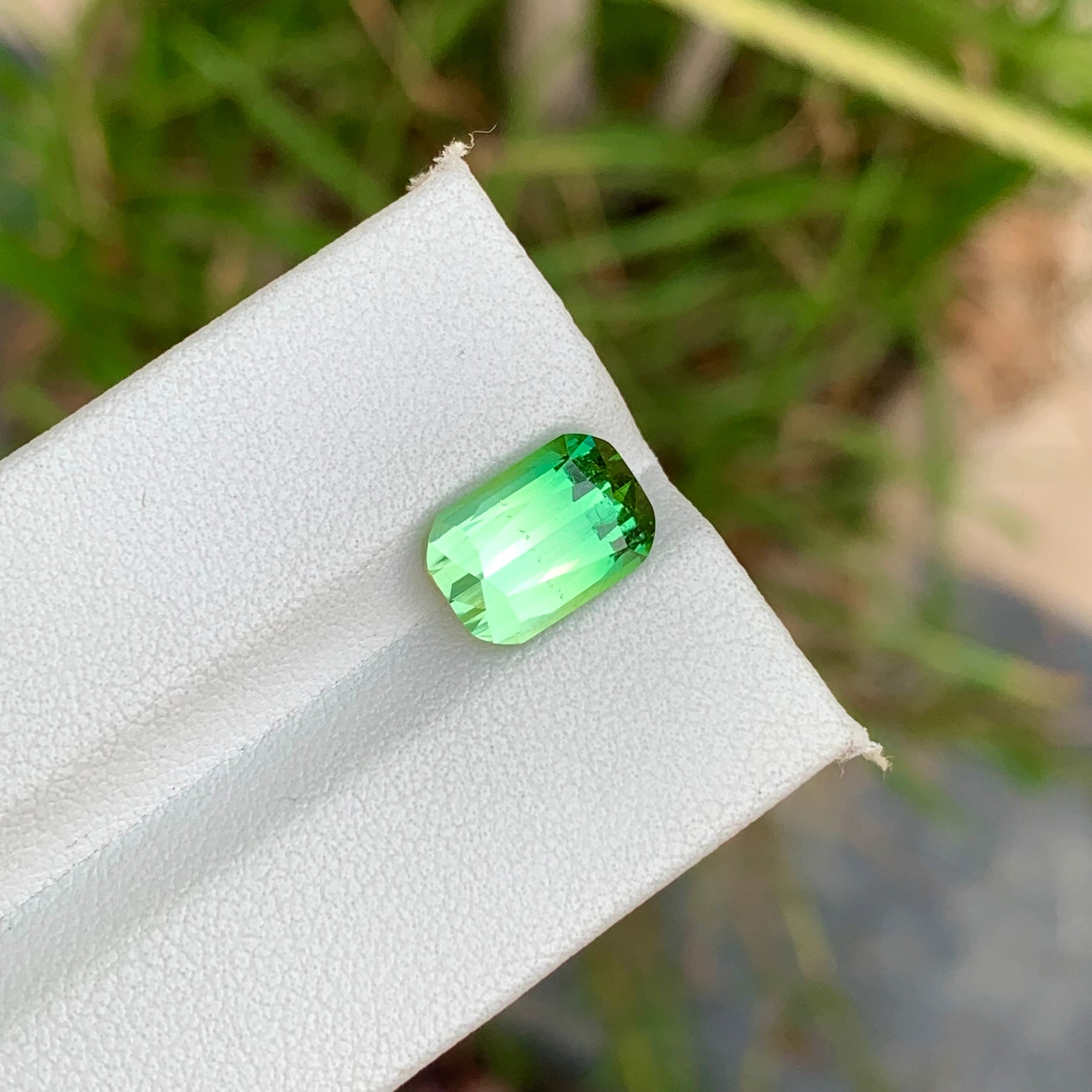 3.65 Carats Natural Green Bicolor Tourmaline Stone Cushion Shape Loose Afghan Gemstone